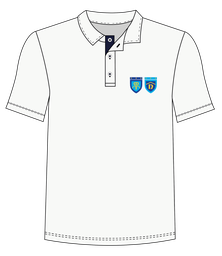 CAMISETA DIARIO NIÑO T12- TM